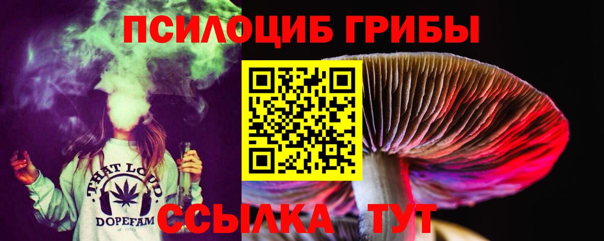 Галлюциногенные грибы прущие грибы  Галлюциногенные грибы Cubensis  Ступино  Вход с VPN 