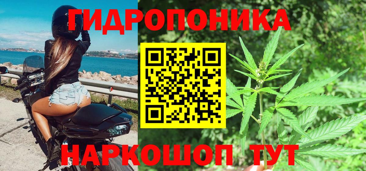 Шишки марихуана White Widow Ступино